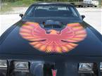 1979 Pontiac Trans Am Picture 8