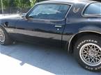 1978 Pontiac Firebird Picture 8