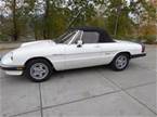 1986 Alfa Romeo Veloce Picture 8