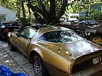 1978 Pontiac Trans Am Picture 8