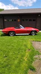 1966 Chevrolet Corvette Picture 8