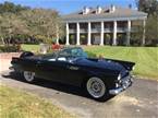 1956 Ford Thunderbird Picture 8