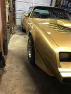 1981 Pontiac Trans Am Picture 8