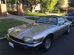 1992 Jaguar XJS Picture 8