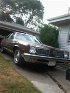 1973 Pontiac LeMans Picture 8