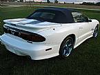 1999 Pontiac Trans Am Picture 8