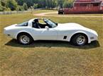 1980 Chevrolet Corvette Picture 9