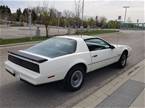 1983 Pontiac Trans Am Picture 9