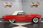 1955 Ford Thunderbird Picture 9