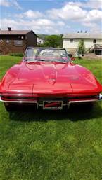 1966 Chevrolet Corvette Picture 9