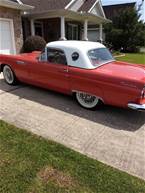 1956 Ford Thunderbird Picture 9