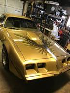 1981 Pontiac Trans Am Picture 9